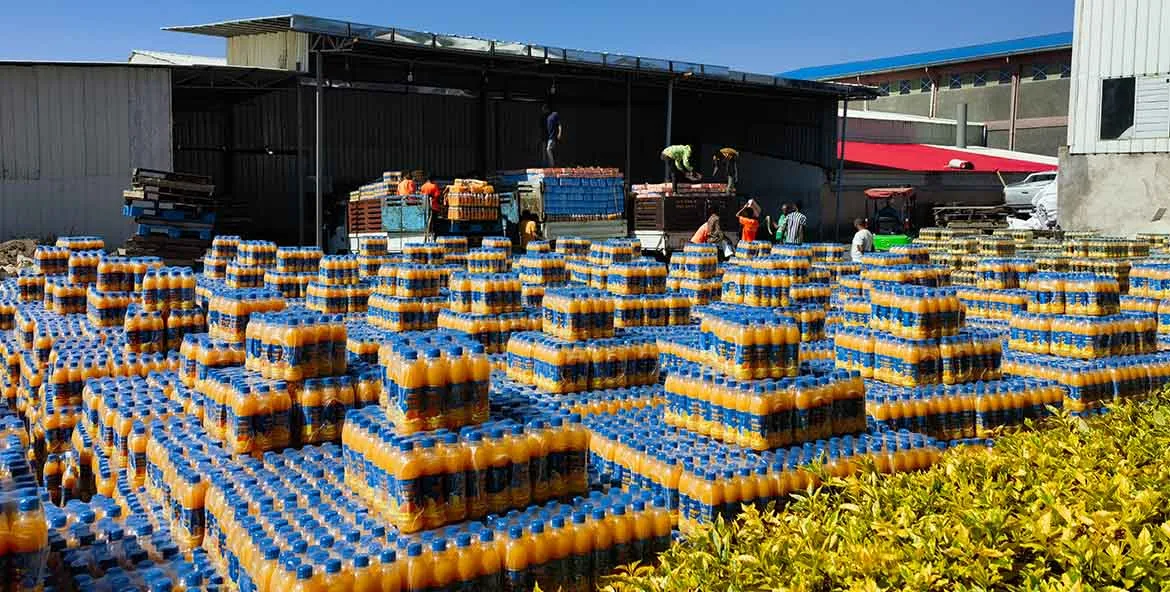 Ethiopian-Mango-Juice-Production-Line1